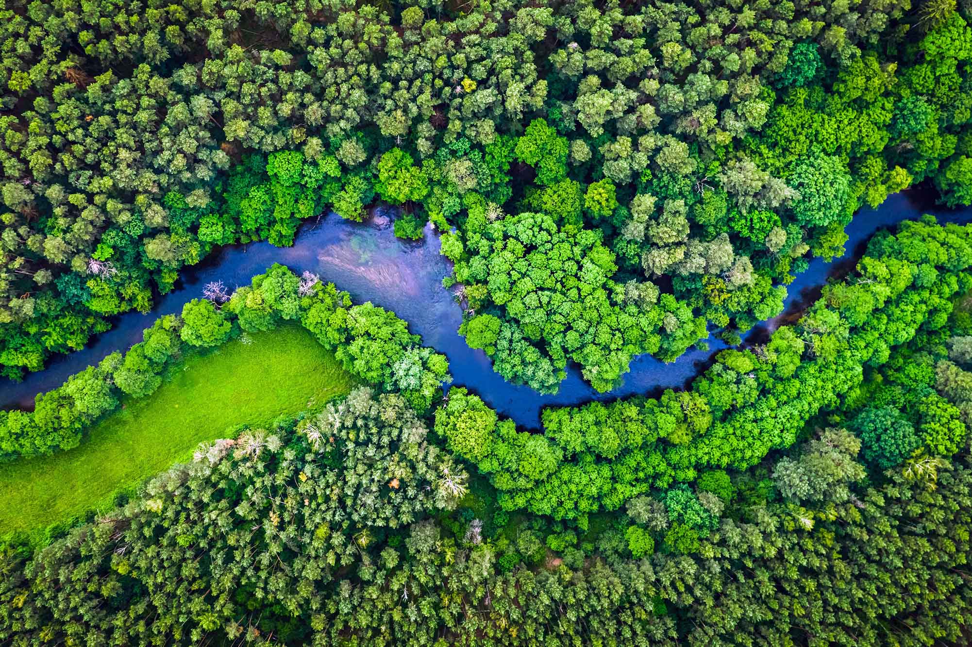 Forest-River-Green-200