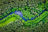 Forest-River-Green-300