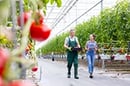 Greenhouse-Management-165