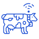 cow