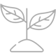 plant-grey-1 plant-grey-1