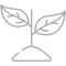 plant-grey plant-grey